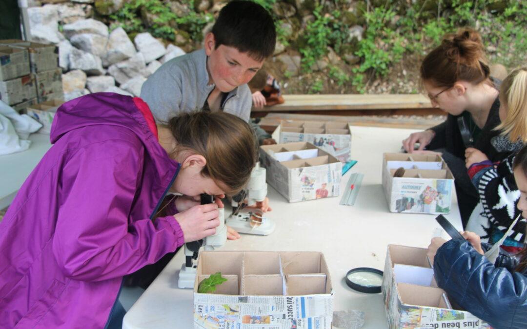 Animation  » La Nature comme Cabinet de Curiosités »