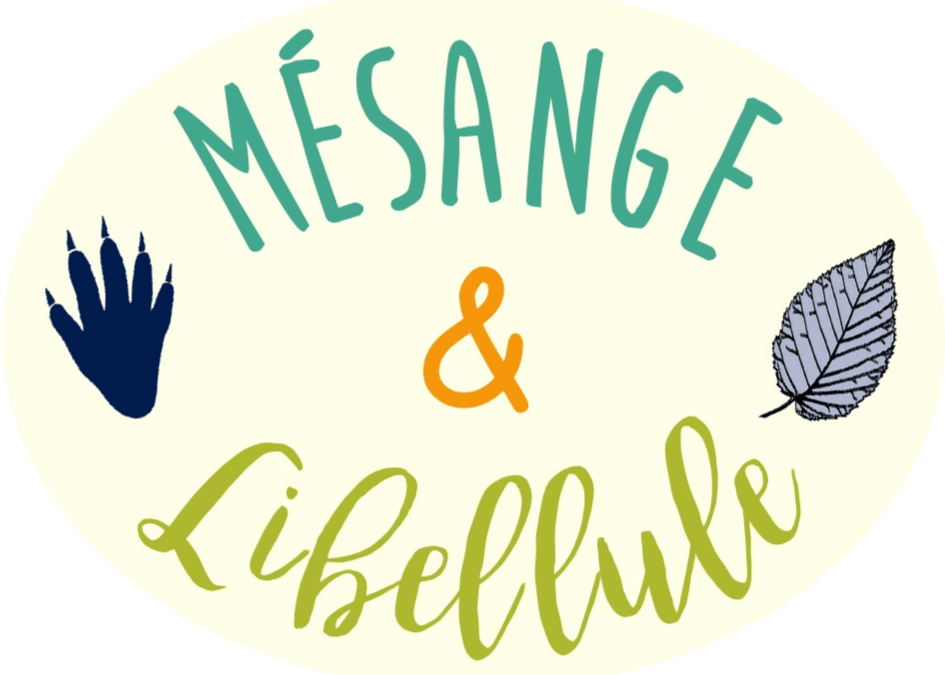 Mésange & Libellule