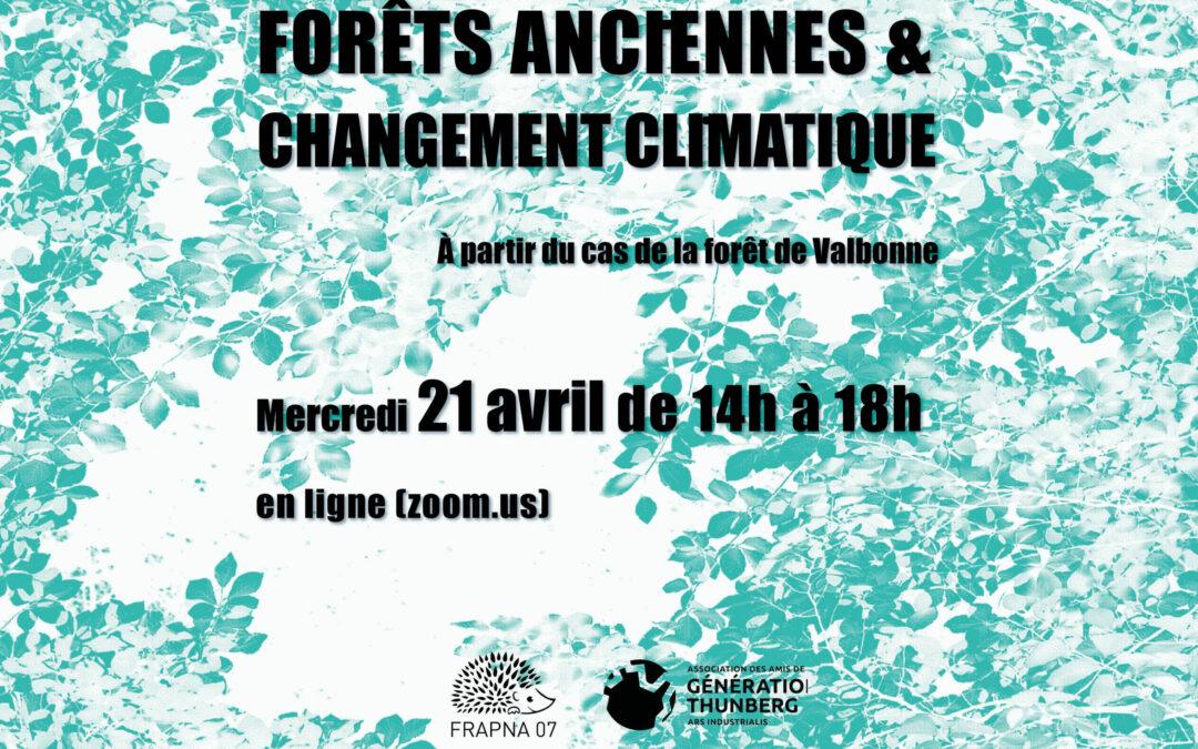 Conférence en ligne « forêts anciennes et changement climatique »