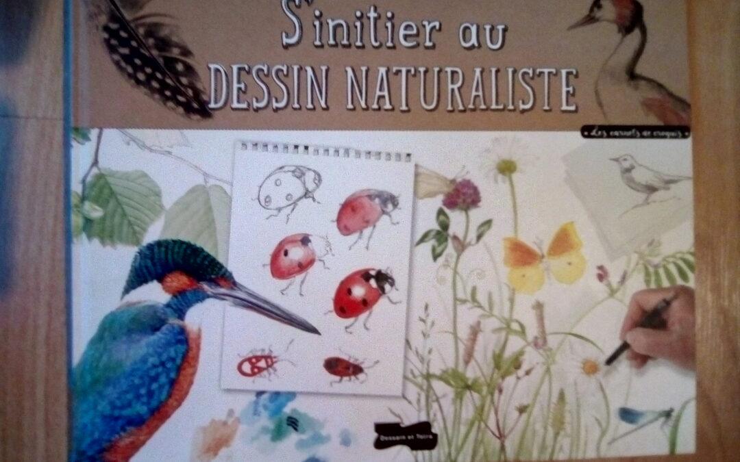 S’initier au dessin naturaliste