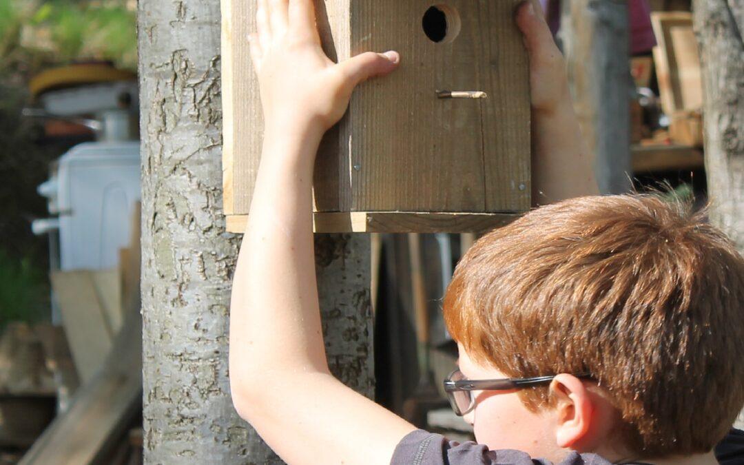 Stage « Je fabrique mes objets en bois ! » 9-18 ans