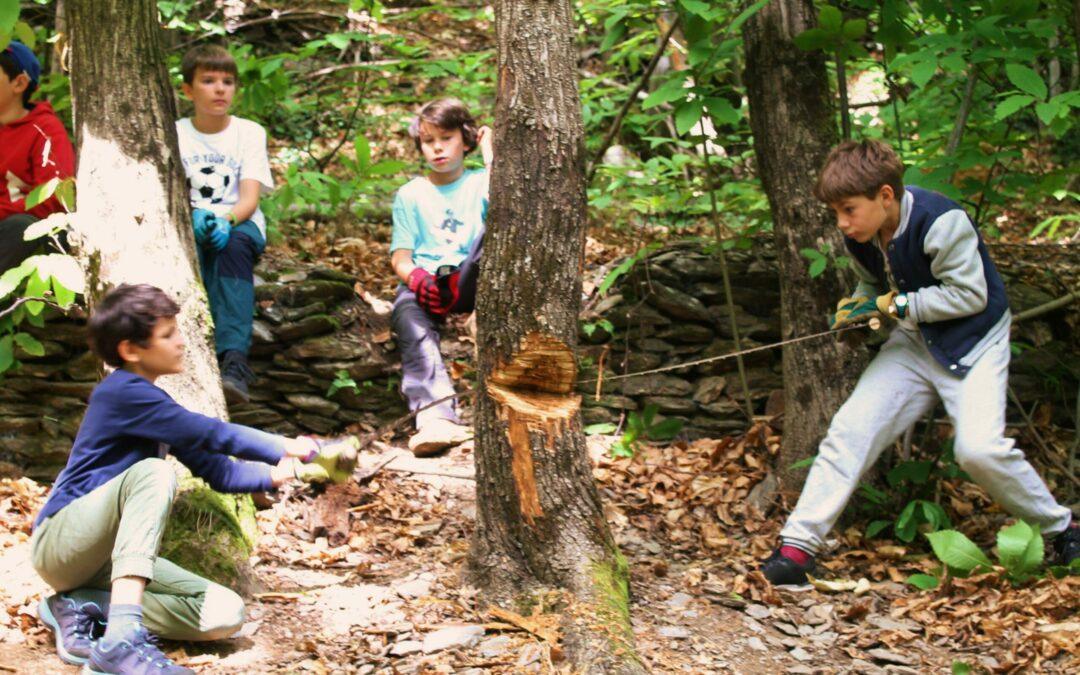 Stage « Bucheronnons en forêt ! » 9-18 ans