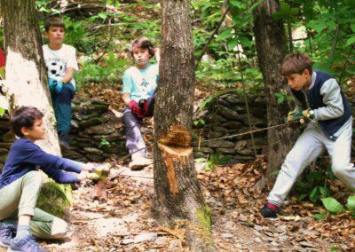 Stage « Bucheronnons en forêt ! » 9-18 ans