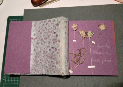 Création de carnet ; herbier