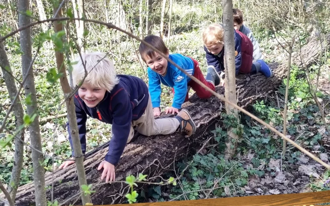 Rentrée des Clubs Nature à Mésange et Libellule !